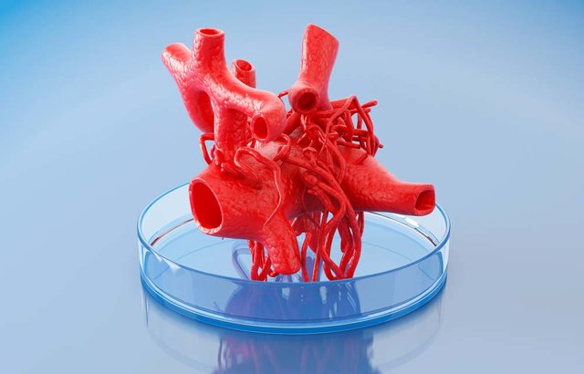 چاپ سه بعدی اندام ها
