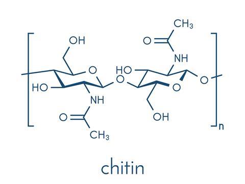 ساخت آنتی بیوتیک از پلیمر کیتین - Chitin