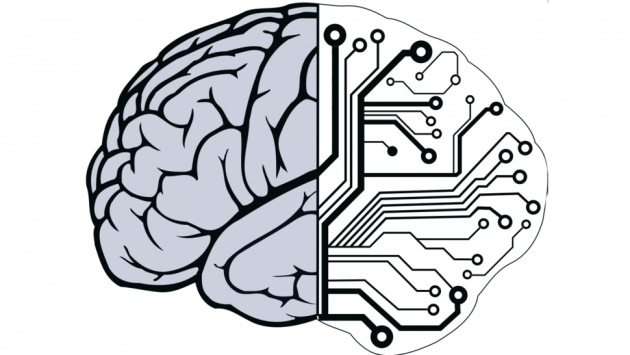 مغز و کامپیوتر
