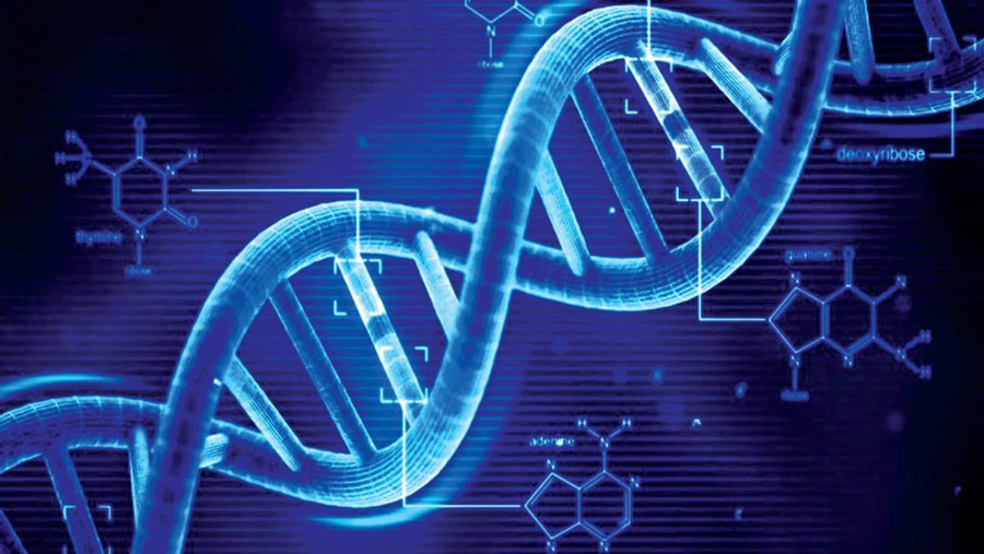 ساختمان DNA