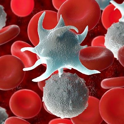درمان سرطان با سلول خونی گرم
