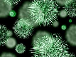 میکروب های فرازمینی تهدیدی جدی برای ایمنی انسان 