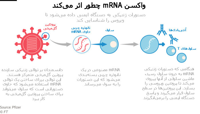 عملکرد واکسن mRNA