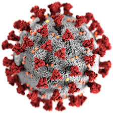 ویروس کووید- 19