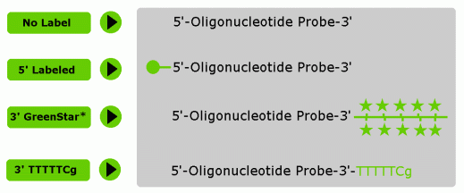 پروب الیگونوکلئوتید