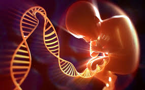 آشکار شدن ژن در صفات ژنومی به ارث رسیده از فرزندان 
