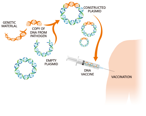 واکسن­ های DNA