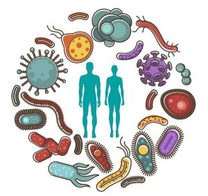  میکروبیوم هم زیستی مسالمت‌آمیز میکروب‌ها و سلول‌های بدن 