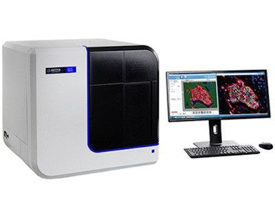 Multiplex fluorescence imaging systems