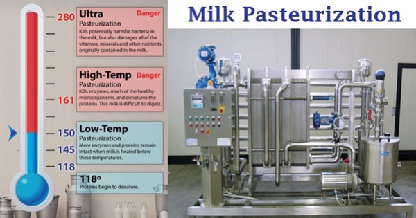 milk pasteurisation