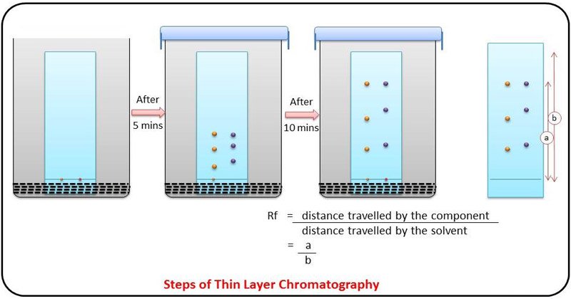 thin layer chromatography(TLC)