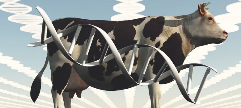 حیوانات تراریخته برای تولید بسیاری از داروها و غذاهای اصلاح شده ژنتیکی و به‌طور گسترده در تحقیقات علمی و تولید محصولات دیگر استفاده می‌شوند.