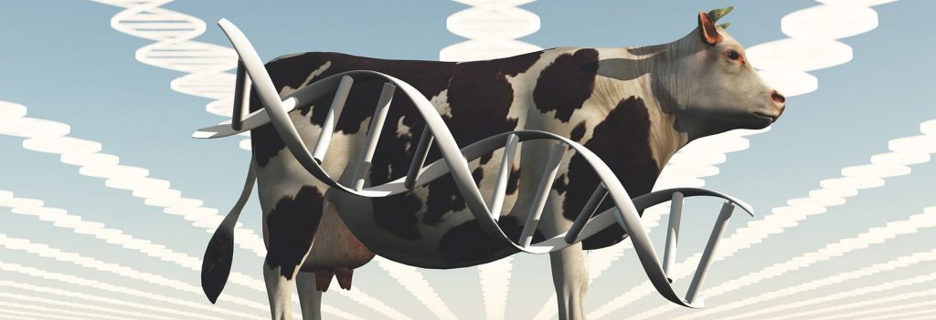 حیوانات تراریخته برای تولید بسیاری از داروها و غذاهای اصلاح شده ژنتیکی و به‌طور گسترده در تحقیقات علمی و تولید محصولات دیگر استفاده می‌شوند.