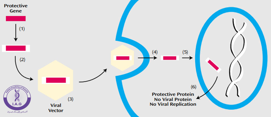 سیستم ارسال ماده ژنتیکی توسط ناقل‌ ویروسی