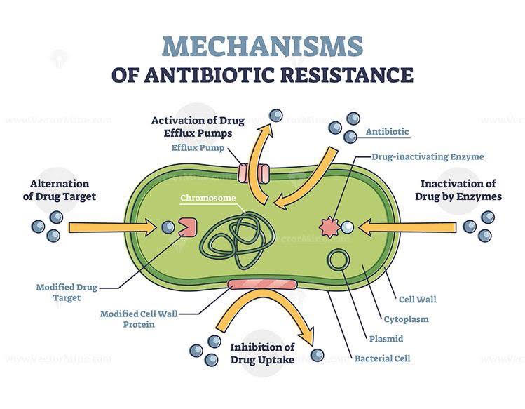مقاومت آنتی‌‌بیوتیکی