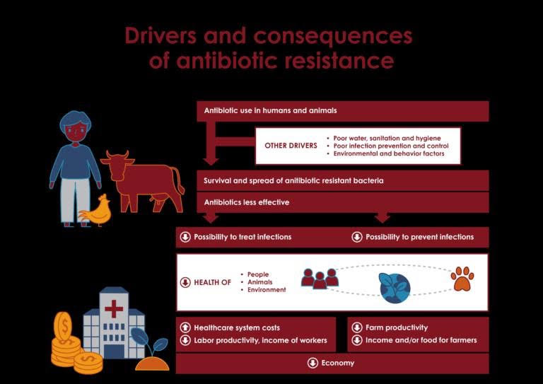 مقاومت آنتی‌‌بیوتیکی