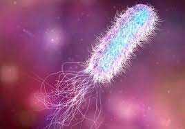 سفری شگفت‌انگیز به درون باکتری‌ها
