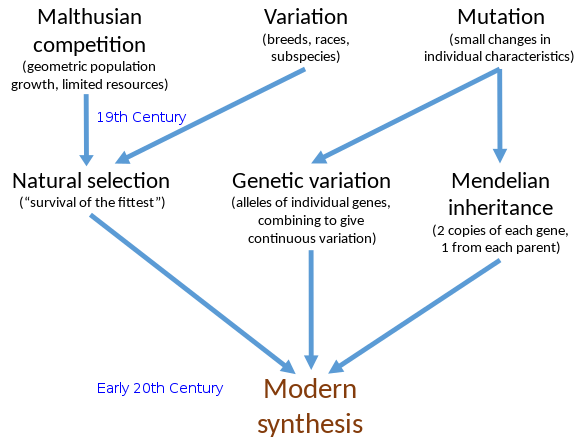 Modern_Synthesis