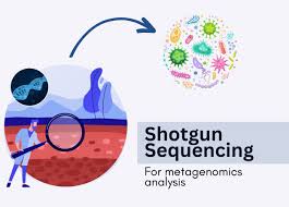 shotgun sequencing
