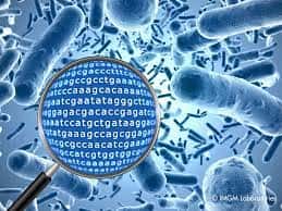 اهمیت و کاربرد متاژنومیک در مطالعه‌ی میکروارگانیسم‌ها