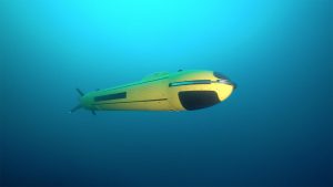 الهام از موجودات آبزی برای ساخت زیردریایی