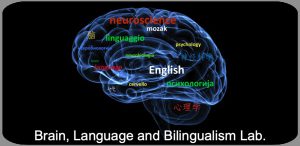 علوم اعصاب و یادگیری زبان