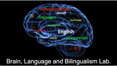 علوم اعصاب و یادگیری زبان