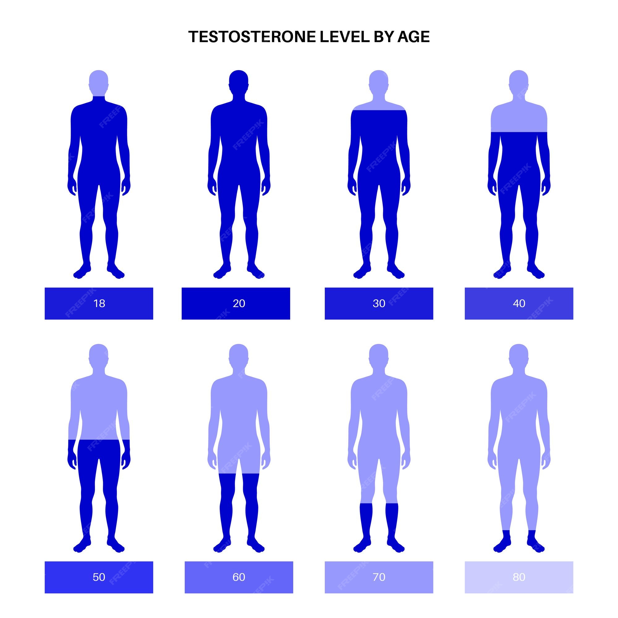 سطح تستوسترون در سنین مختلف