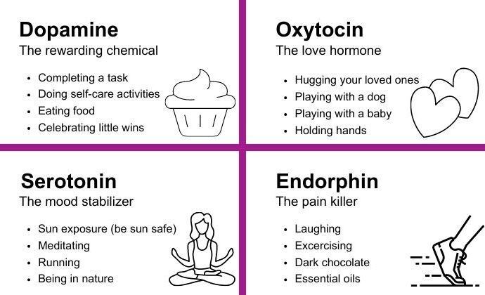 هورمون‌های دوپامین، اکسی‌توسین، سروتونین و اندروفین