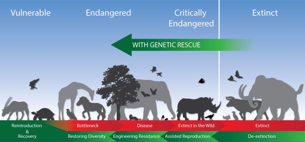 اهمیت احیای گونه‌های منقرض شده