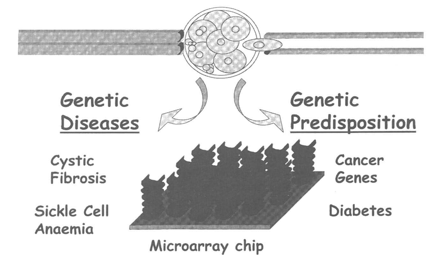 بیماری‌های ژنتیکی و استعداد ژنتیکی بیماری‌ها