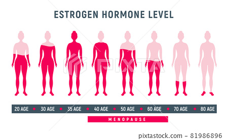 سطح هورمون استروژن در سنین مختلف