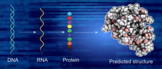 پروتکل استخراج پروتئین