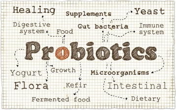 هر آنچه باید در مورد پروبیوتیک‌ها بدانید!