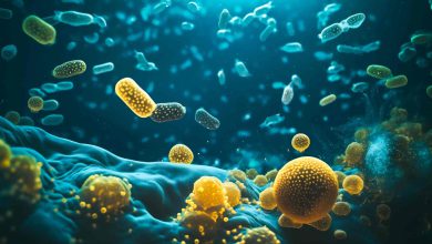 میکروبیوتا؛ آیا ما بیش از آنکه یک انسان باشیم، از باکتری شاخته شده‌ایم؟