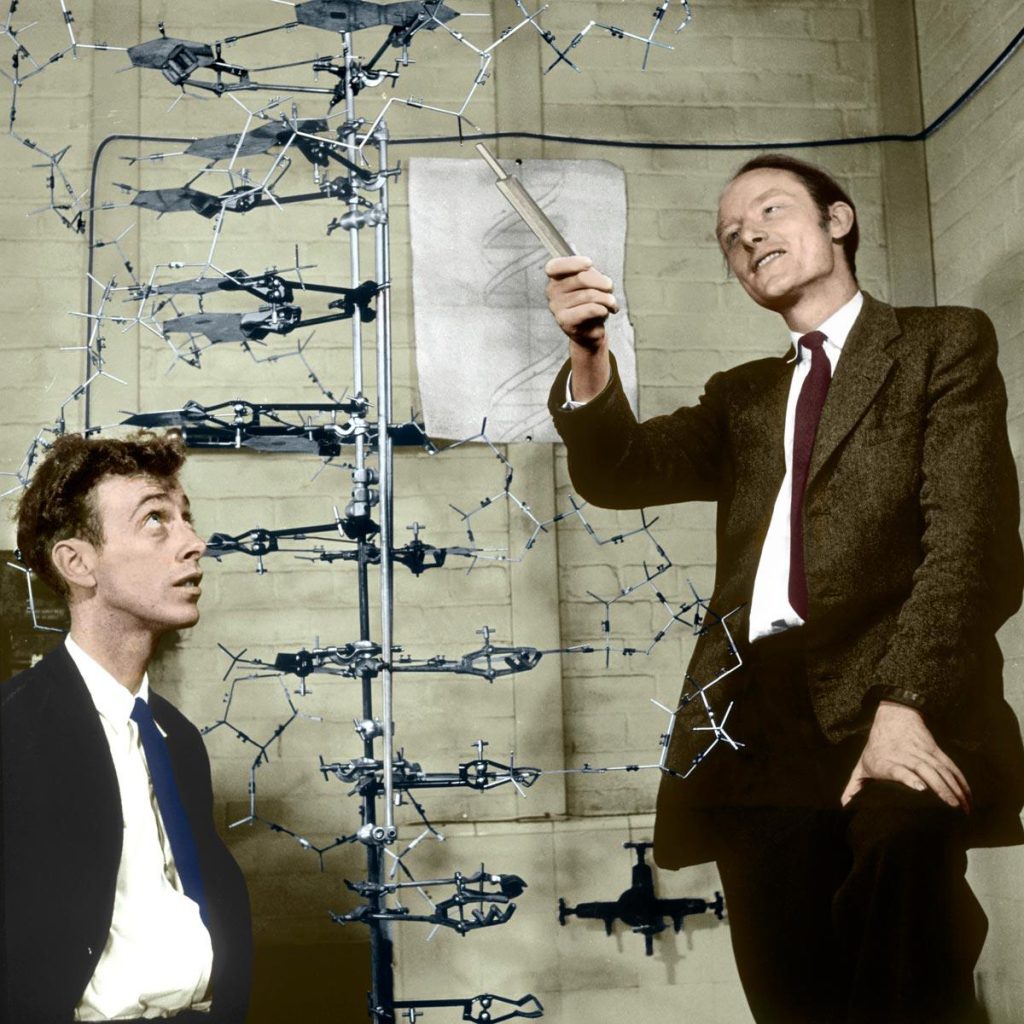  Watson and Crick،زیست‌شناسی